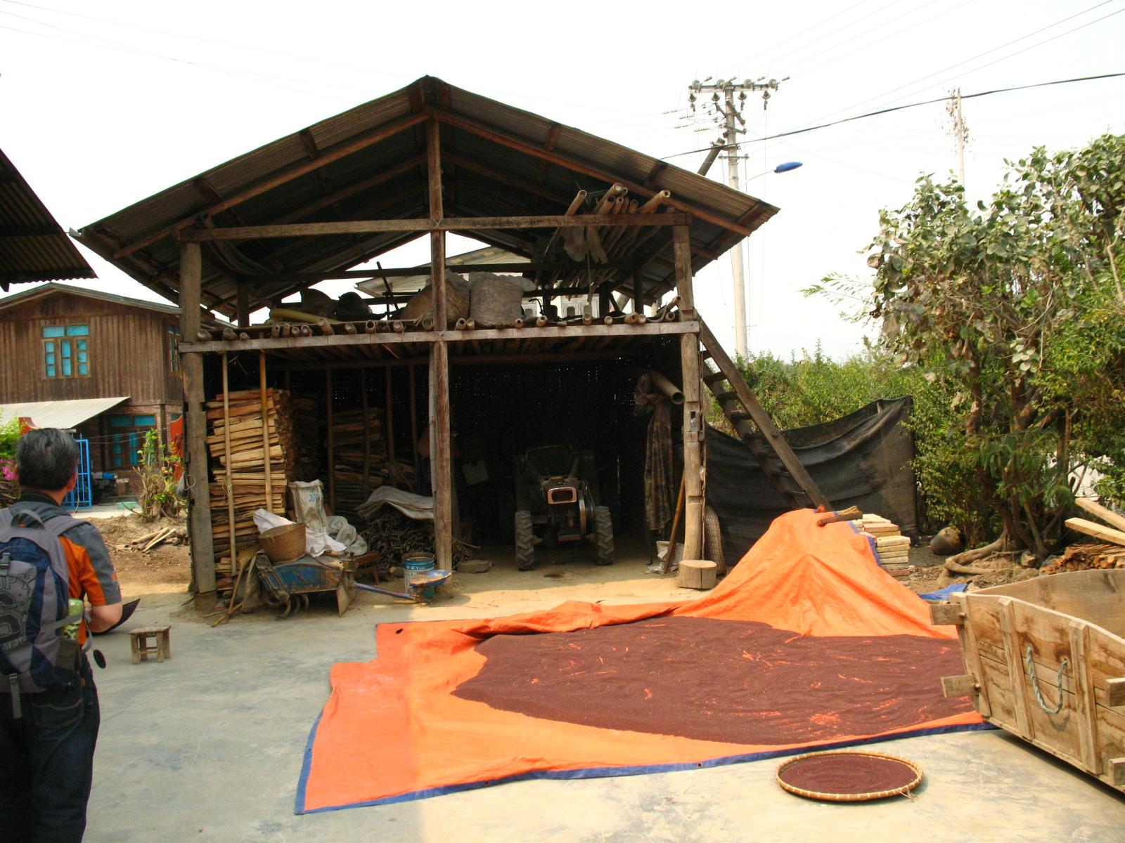 55.jpg