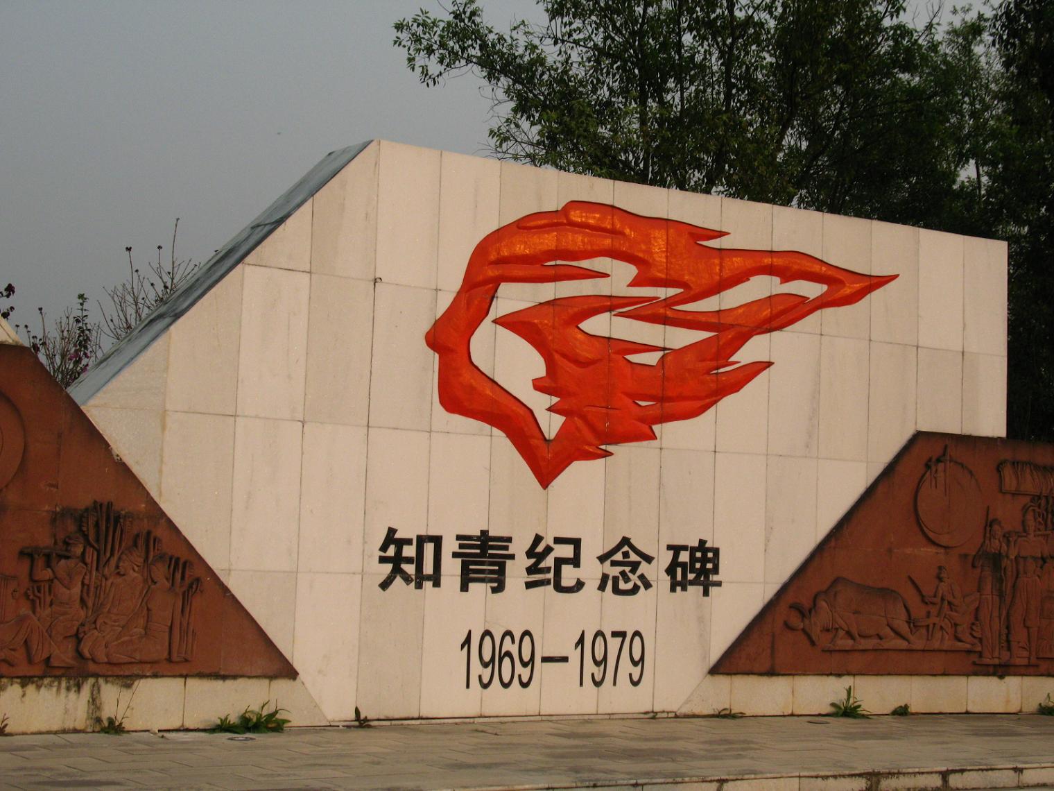 279.jpg