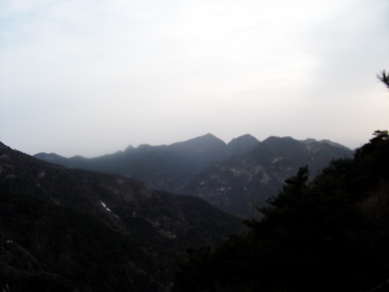 dscf0352.jpg