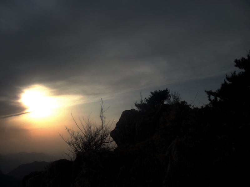 dscf0355.jpg