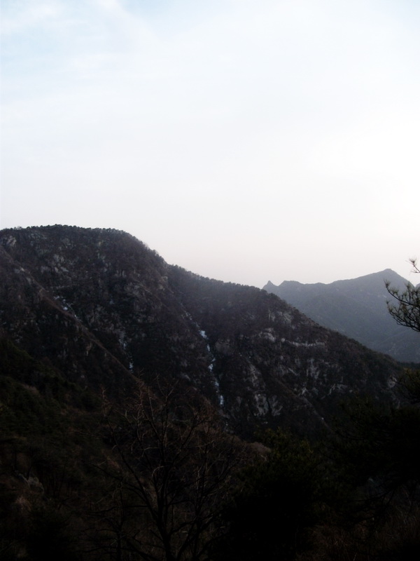 dscf0364.jpg