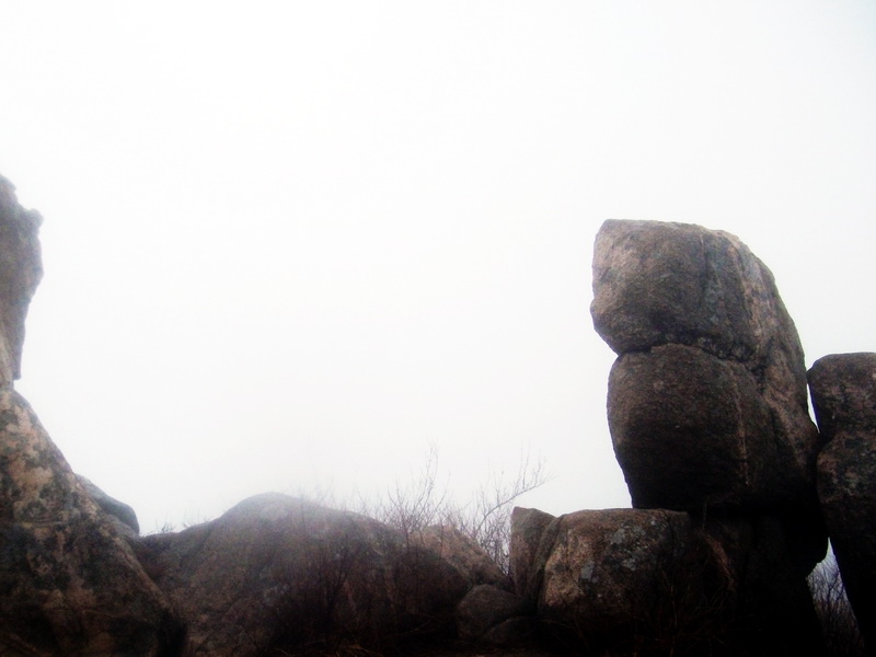 dscf0193.jpg