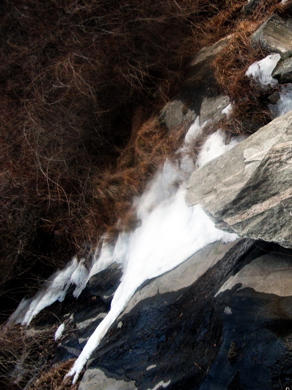 dscf0361.jpg