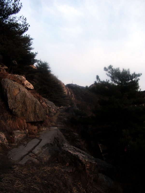 dscf0363.jpg