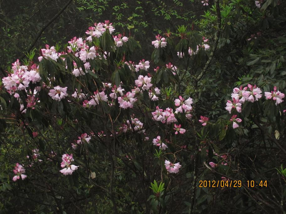 img_5456.jpg