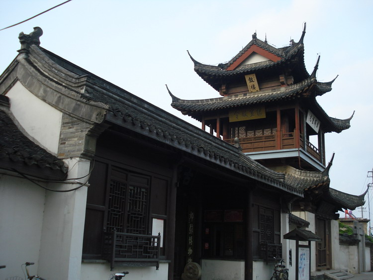 dsc08380.jpg