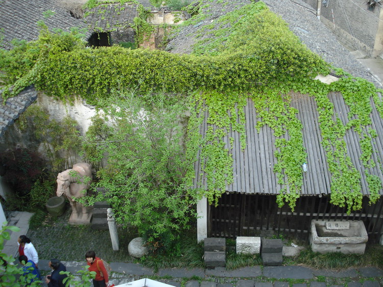 dsc08350.jpg