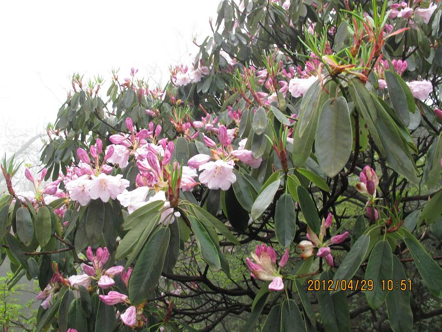 img_5463.jpg