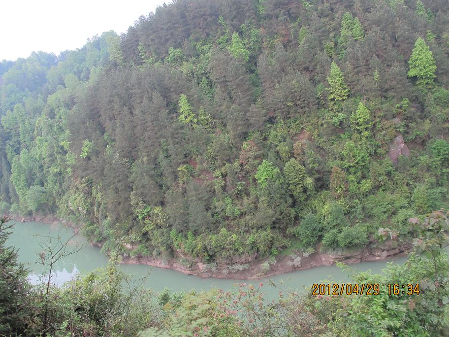 img_5530.jpg