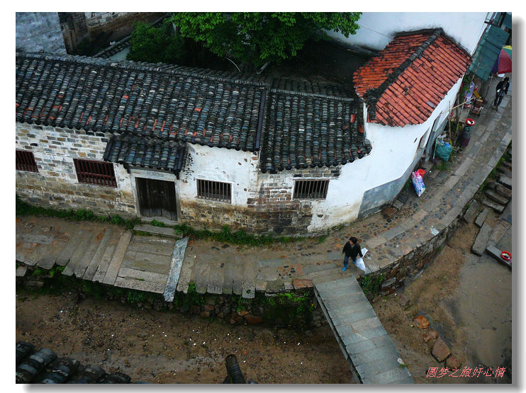 p1420474.jpg