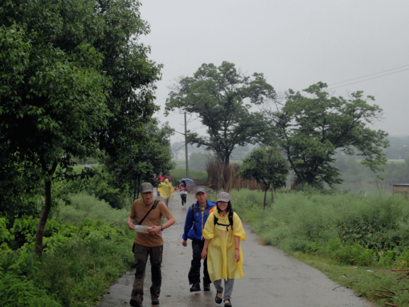 dsc08972.gif