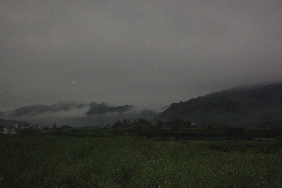 dsc08973.gif