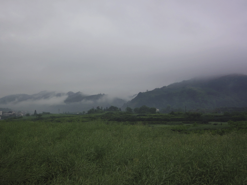 dsc08974.gif