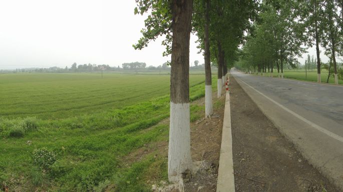 dsc08512.jpg