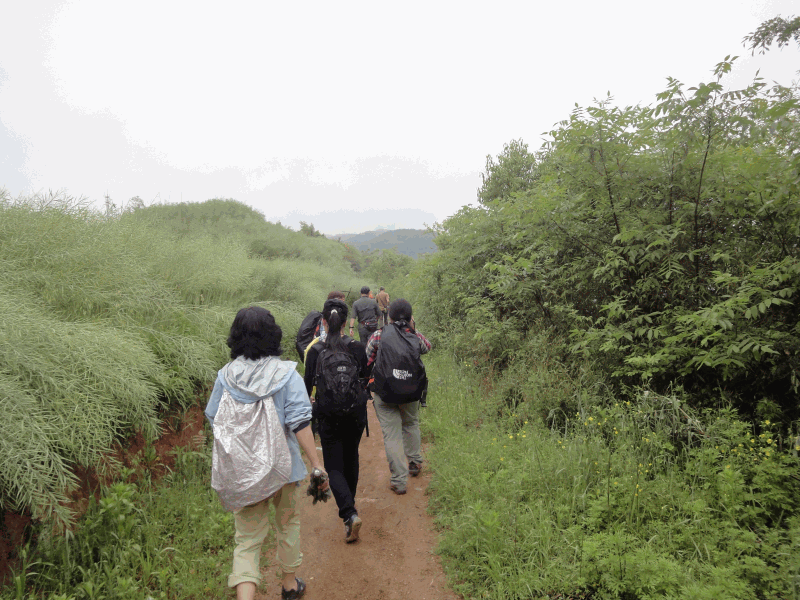 dsc08995.gif