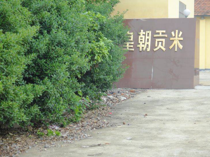 dsc08499.jpg