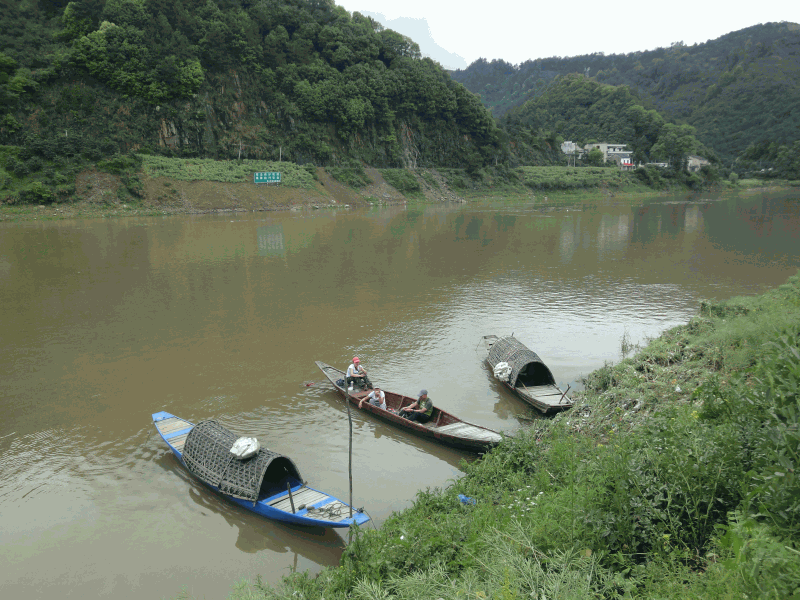 dsc09027.gif
