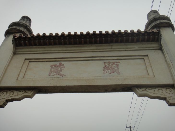 dsc08538.jpg