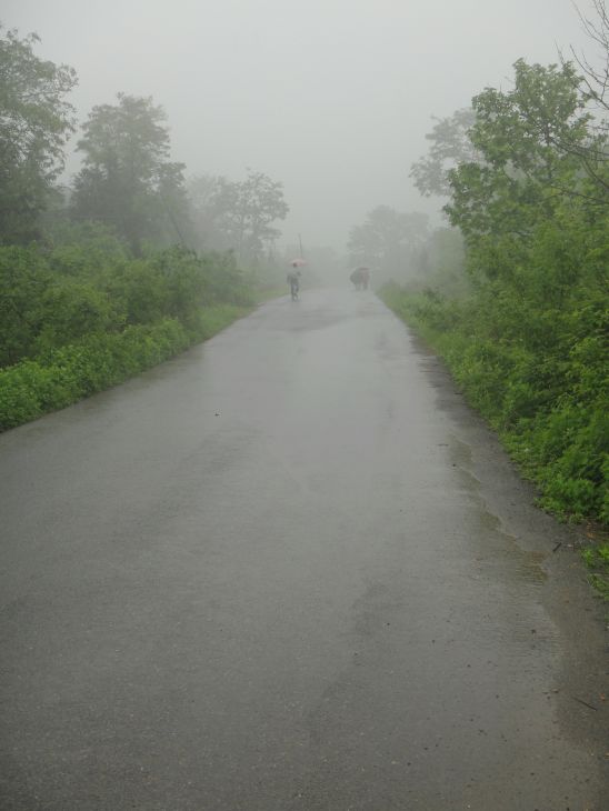 dsc08544.jpg