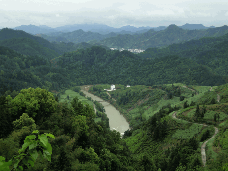 dsc09047.gif