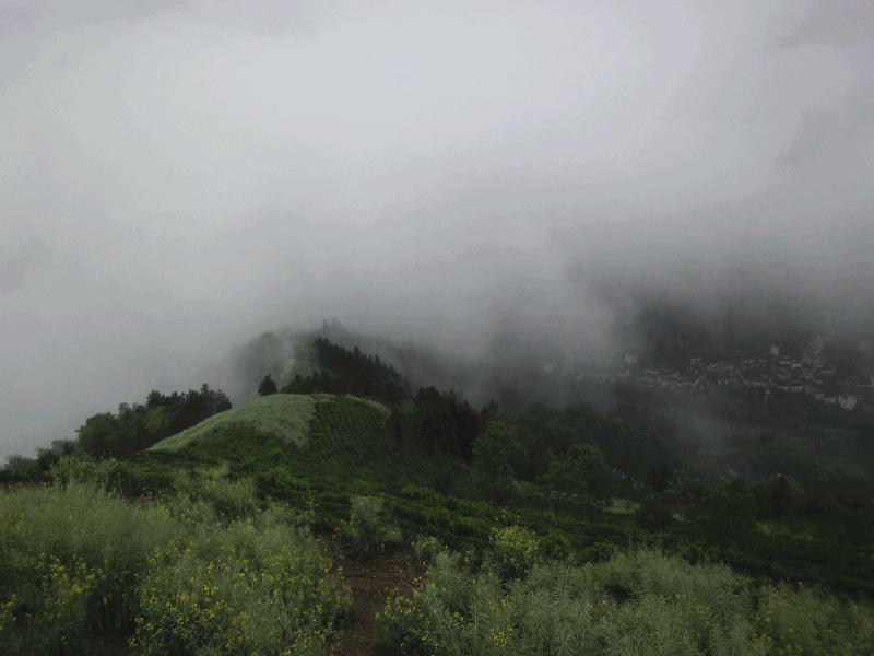 dsc09071.gif