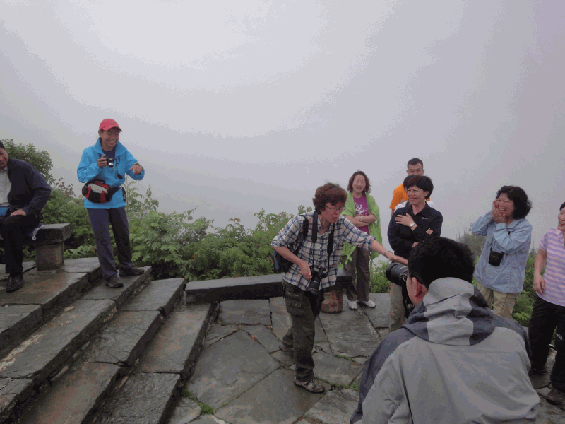 dsc09067.gif