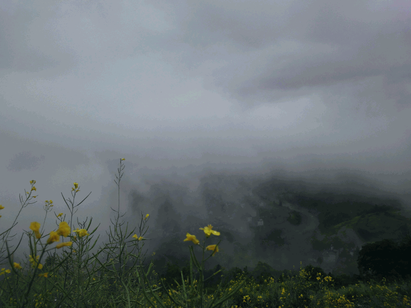 dsc09077.gif