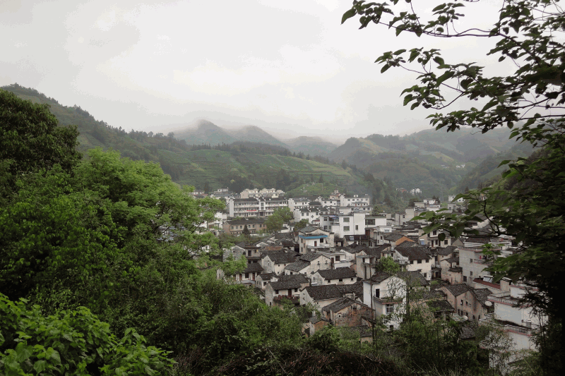 dsc09112.gif