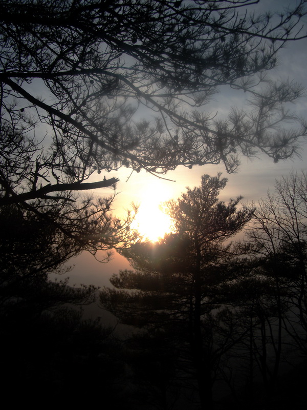 dscf0368.jpg
