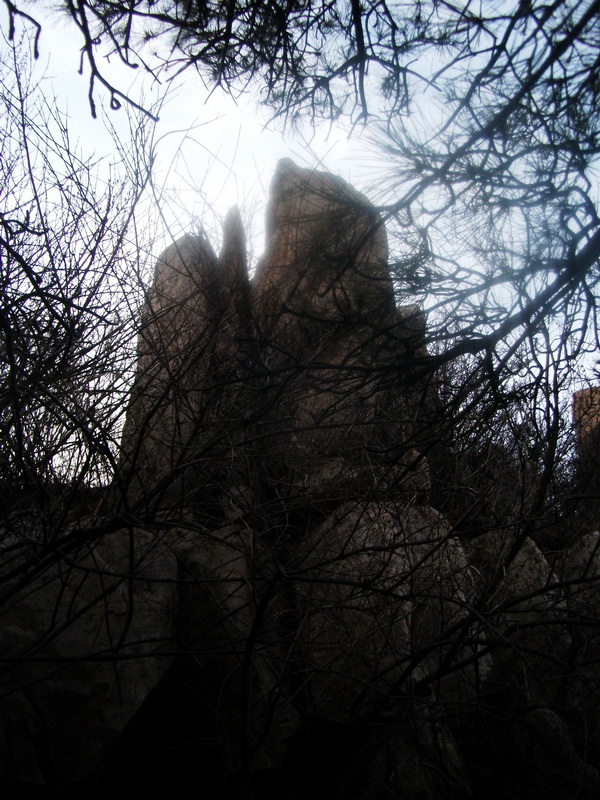 dscf0374.jpg