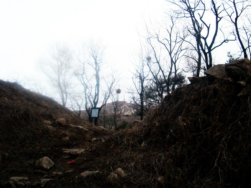 dscf0380.jpg