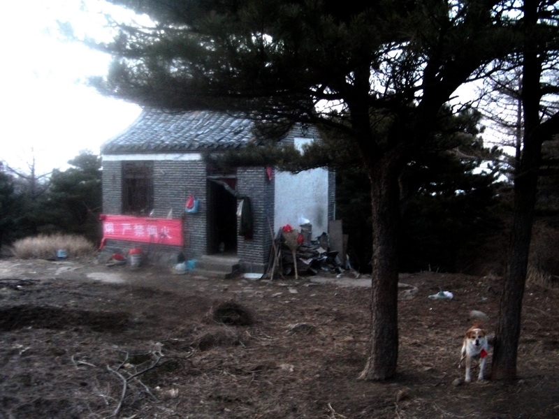dscf0384.jpg