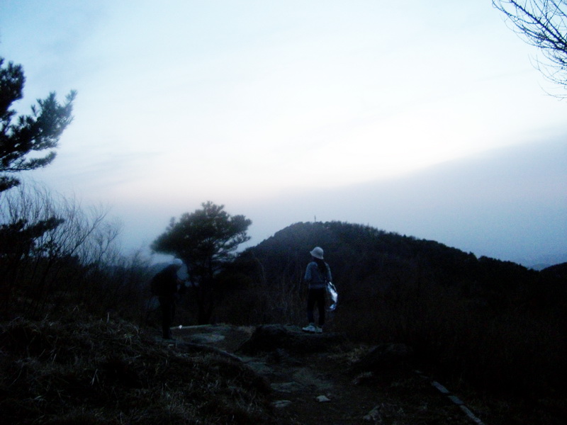 dscf0388.jpg