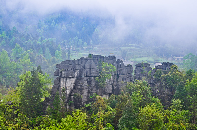 dsc_0008-1.jpg