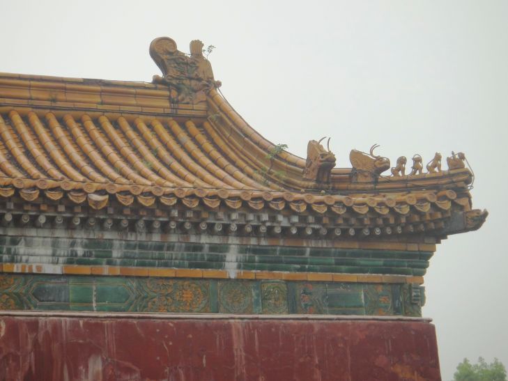 dsc08580.jpg