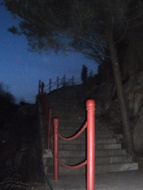 dscf0404.jpg
