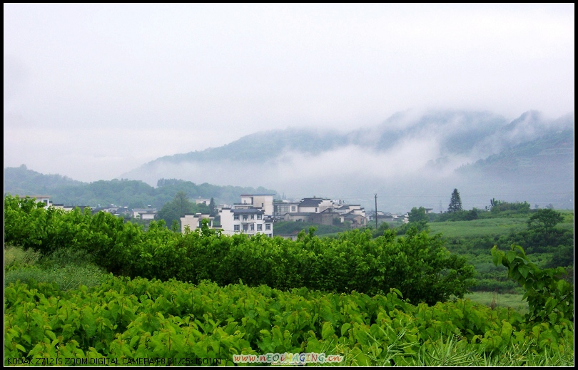 100_4569-1.jpg