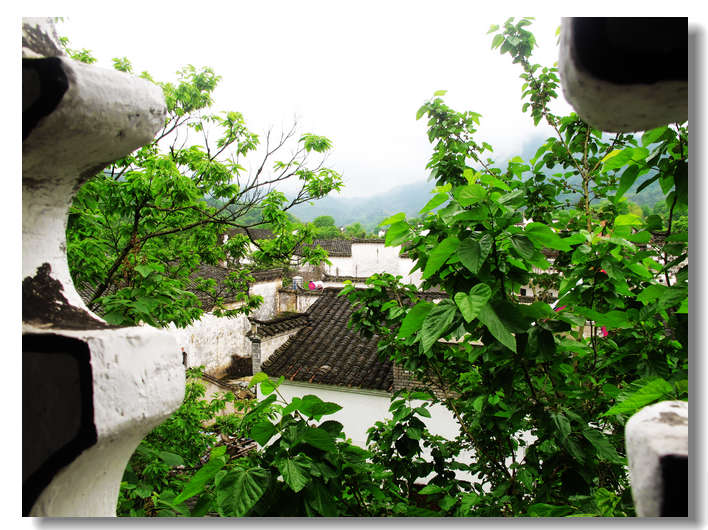 20111127 046.jpg