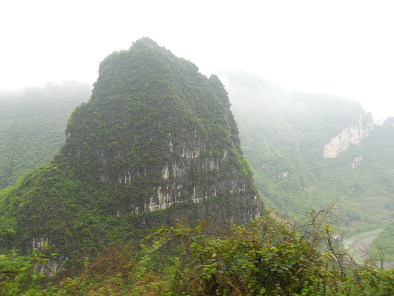 dscn2010_.jpg