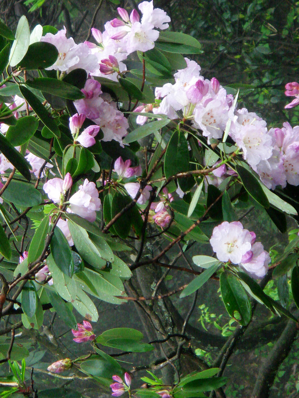 neo_img_dsc00025.jpg