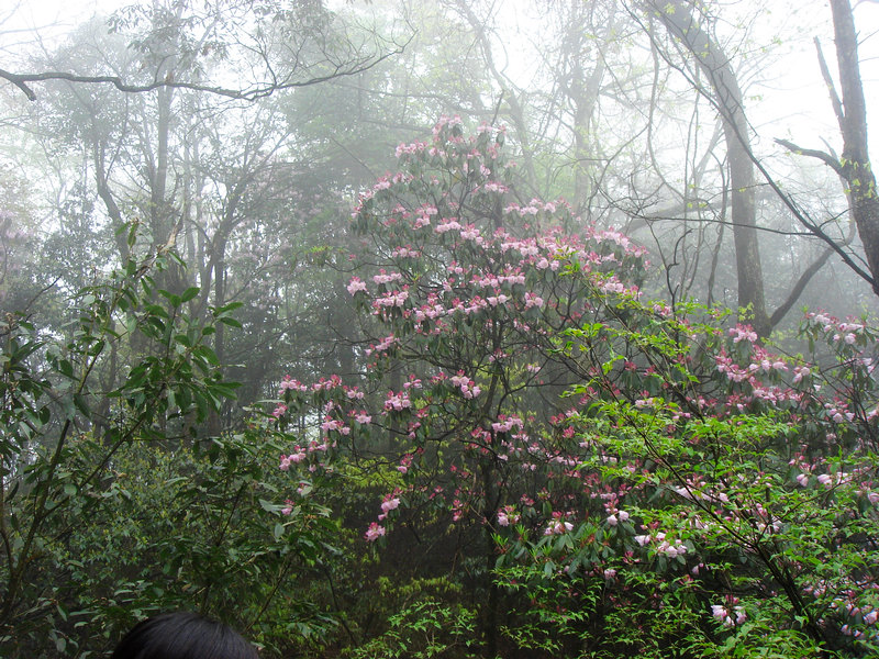 neo_img_dsc00019.jpg