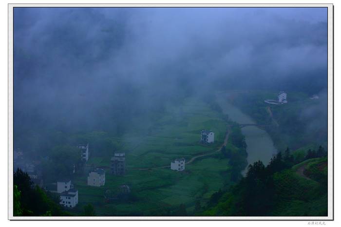 neo_img_img_7753.jpg