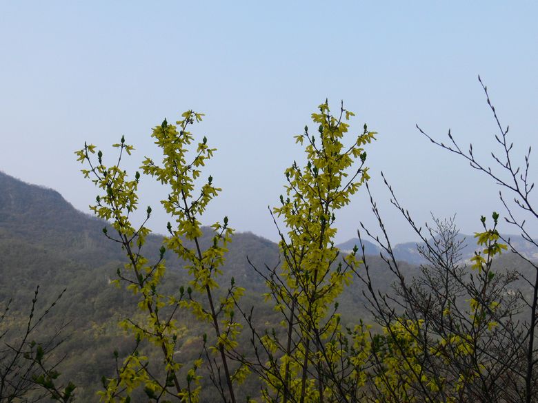 p1190999.jpg