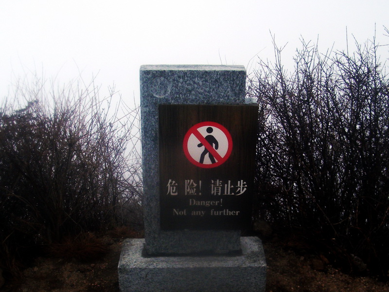 dscf0203.jpg