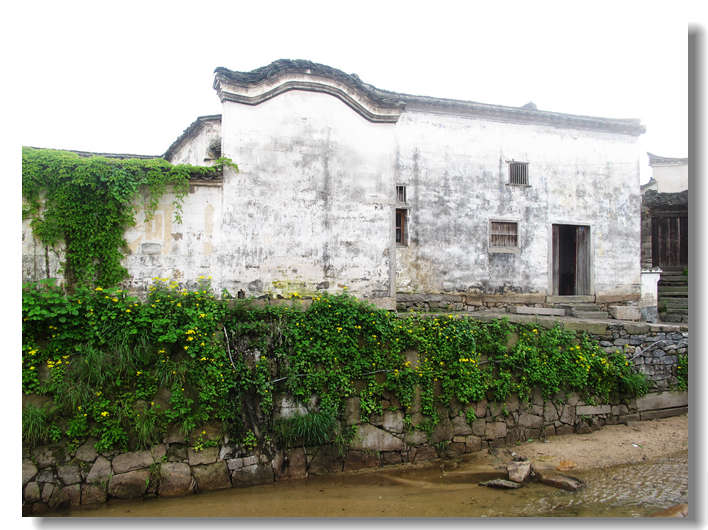 20111127 077.jpg