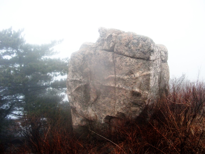 dscf0207.jpg