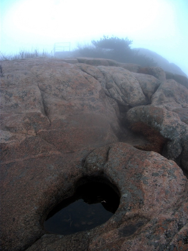 dscf0208.jpg