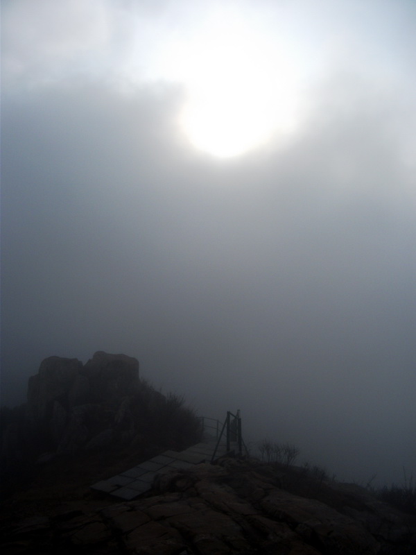 dscf0209.jpg