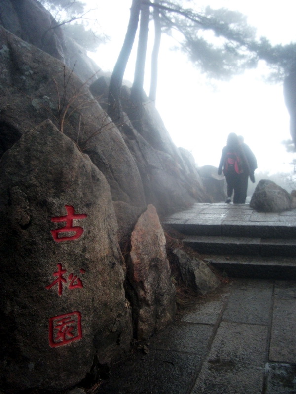 dscf0213.jpg