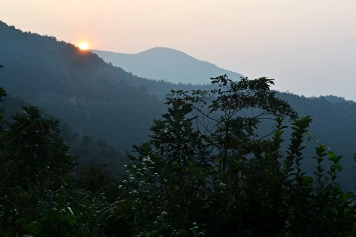  021_conew3.jpg